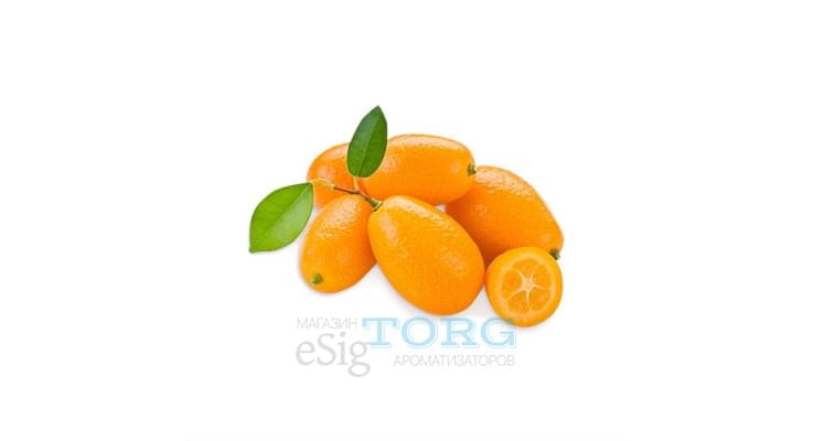 Изображение Ароматизатор My Flavor Kumquat Ароматизатор My Flavor Kumquat