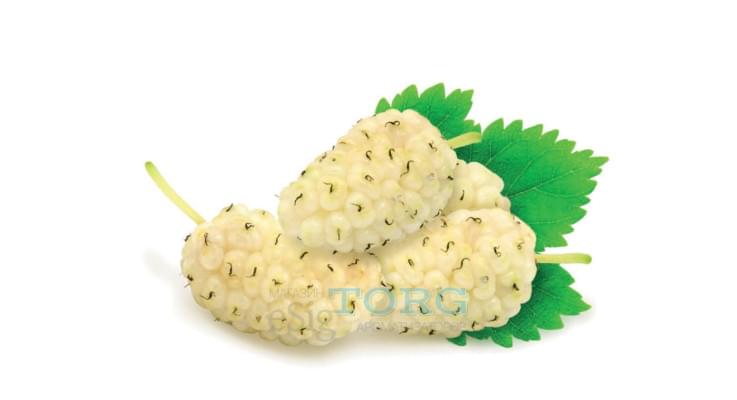 Ароматизатор My Flavor Mulberry